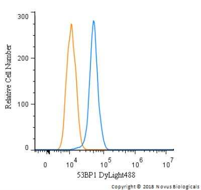 An intracellular stain was performed on Neuro2A cells with 53BP1 Antibody (Catalog #NB100-304G) (blue) and a matched isotype control (orange). Cells were fixed with 4% PFA and then permeabilized with 0.1% saponin. Cells were incubated in an antibody dilution of 5 ug/mL for 30 minutes at room temperature. Both antibodies were conjugated to DyLight 488.